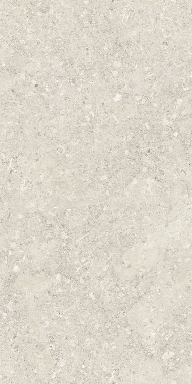 Sea Luster Avorio Matte 24 x 48